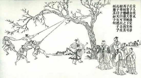 燕窝粥风波再读：宝钗黛玉的真心与贾府利益逻辑(图11)