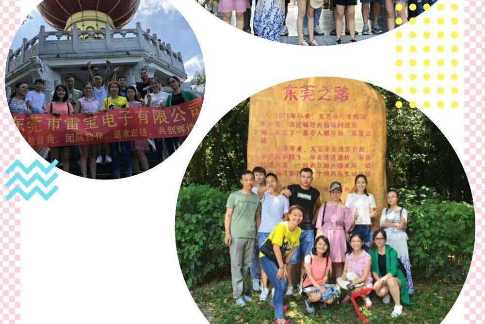 东莞市雷宝电子有限公司图片2