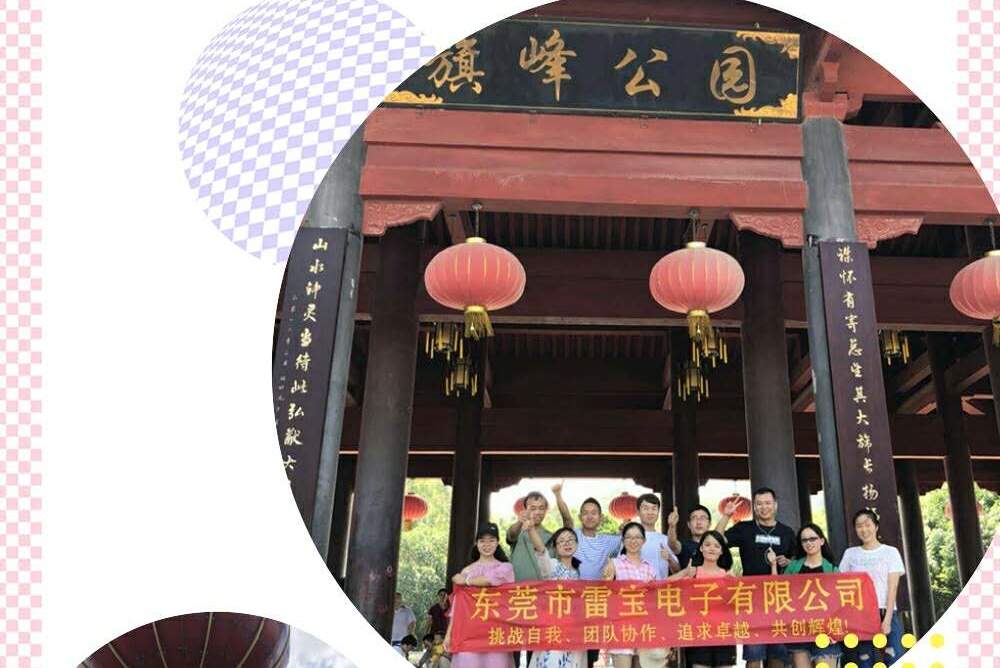 东莞市雷宝电子有限公司图片1