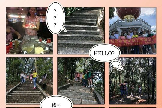 东莞市雷宝电子有限公司图片3